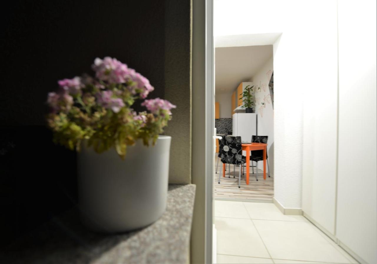 Pop&Rock Holiday House زادار المظهر الخارجي الصورة